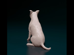 Amstaff sitting 3Dプリントモデル