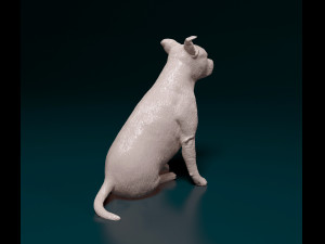 Amstaff sitting 3Dプリントモデル
