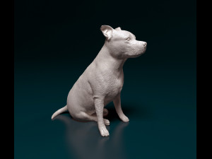 Amstaff sitting 3Dプリントモデル
