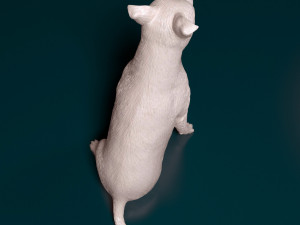 Amstaff sitting 3Dプリントモデル