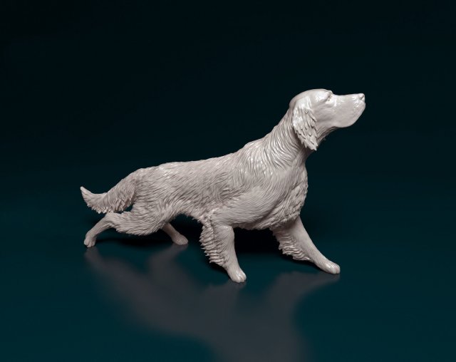 English Setter on the hunt 3D Print Model .c4d .max .obj .3ds .fbx .stl .blend 