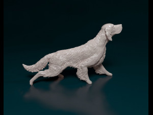 English Setter on the hunt 3D Print Model