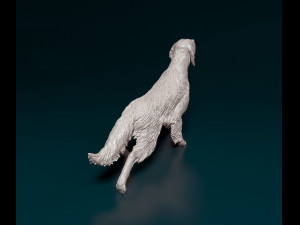 English Setter on the hunt 3D Print Model