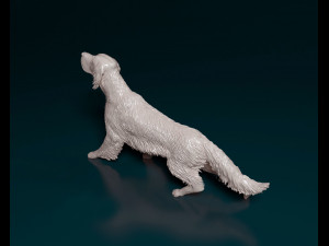 English Setter on the hunt 3D Print Model