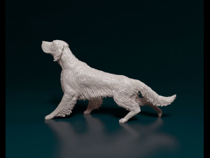 English Setter on the hunt 3D Print Model