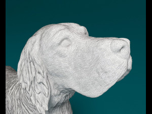English Setter on the hunt 3D Print Model
