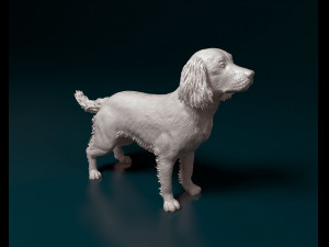 English Springer spaniel 3D Print Model