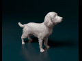 English Springer spaniel 3D प्रिंट मॉडल