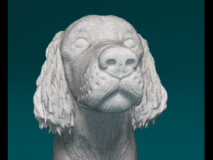 English Springer spaniel Modèles 3D en vedette