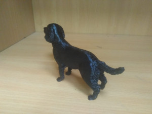 English Springer spaniel Modèles 3D en vedette