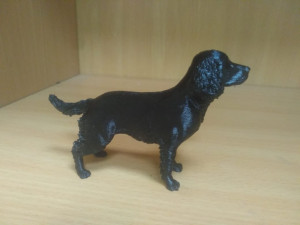 English Springer spaniel Modèles 3D en vedette