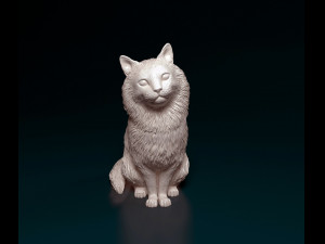 Fluffy Cat 3D Print Model