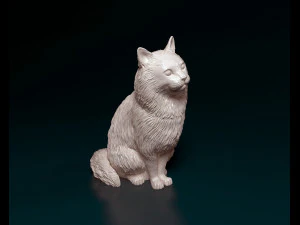 Fluffy Cat 3D Print Model