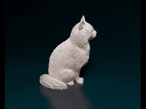 Fluffy Cat 3D Print Model