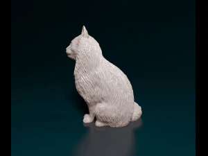 Fluffy Cat 3D Print Model