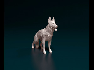 German Shepherd 2 Modèles 3D en vedette