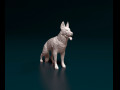 German Shepherd 2 3D प्रिंट मॉडल
