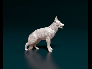 German Shepherd 2 Modello di stampa 3D