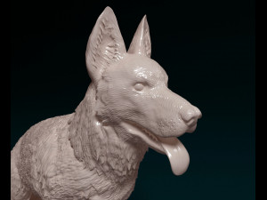 German Shepherd 2 Modello di stampa 3D