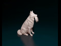 German shepherd long haired 3D प्रिंट मॉडल