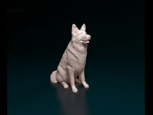 German shepherd long haired Modelo de Impressão 3D