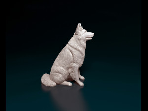 German shepherd long haired Modelo de Impressão 3D