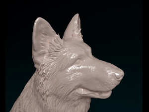 German shepherd long haired Modelo de Impressão 3D