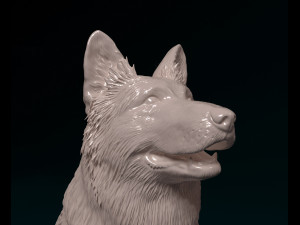 German shepherd long haired Modelo de Impressão 3D