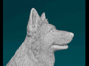 German shepherd long haired Modelo de Impressão 3D