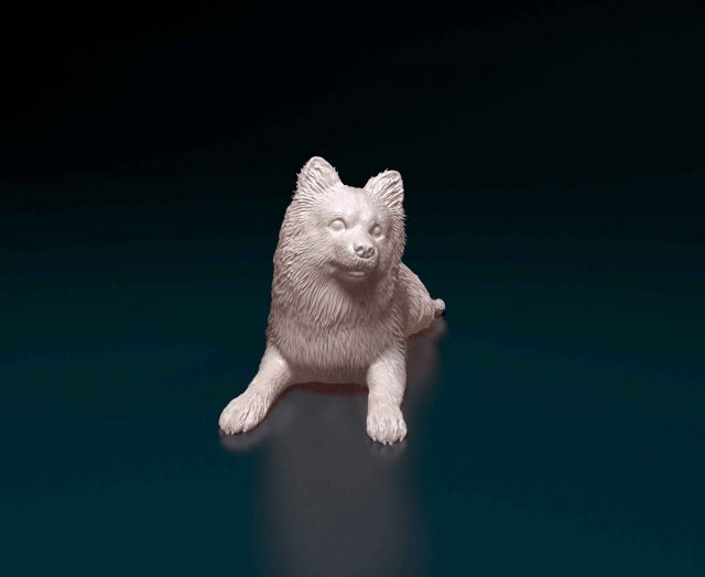 German Spitz 3Dプリントモデル .c4d .max .obj .3ds .fbx .stl .blend 