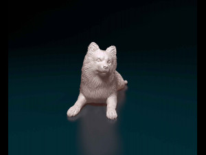 German Spitz 3Dプリントモデル