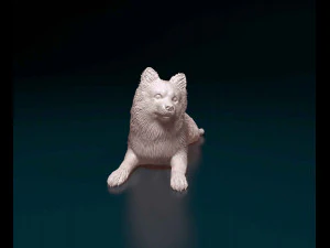Spitz tedesco Modello di stampa 3D