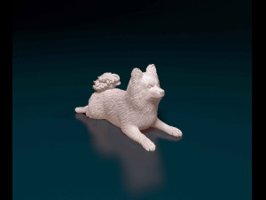 German Spitz 3Dプリントモデル