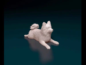 German Spitz 3D Print Model
