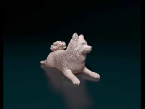 German Spitz 3D Print Model