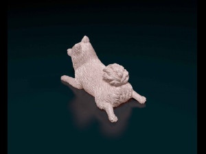 German Spitz 3Dプリントモデル