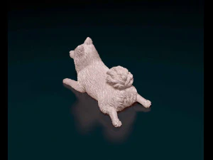 German Spitz 3D Print Model