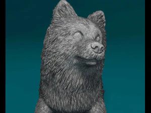 German Spitz 3D Print Model
