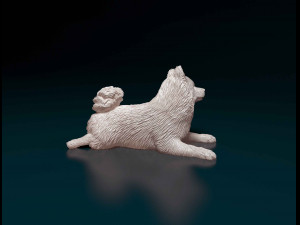 German Spitz 3Dプリントモデル