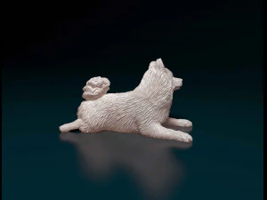 German Spitz 3D Print Model