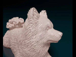 German Spitz 3D Print Model