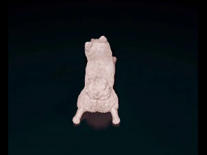 German Spitz 3D Print Model