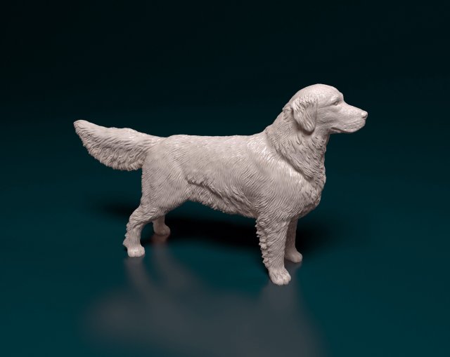 Golden Retriever Modelo de Impressão 3D .c4d .max .obj .3ds .fbx .stl .blend 