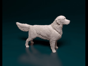 Golden Retriever 3D Print Model