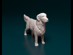 Golden Retriever Modelo de Impressão 3D