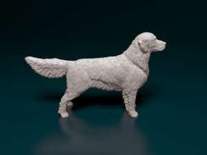 Golden Retriever Modelo de Impressão 3D