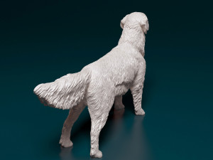 Golden Retriever Modelo de Impressão 3D