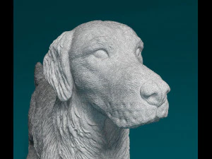 Golden Retriever 3D Print Model