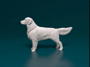 Golden Retriever 3D Print Model