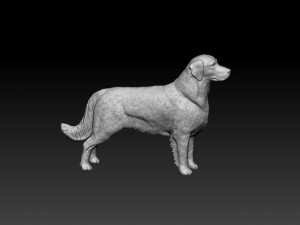 Golden Retriever Modelo de Impressão 3D